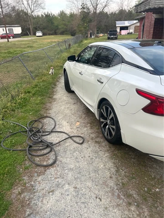 2017 Nissan Maxima 8th Gen - Image 4 of 10