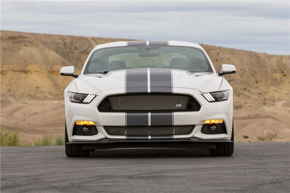 2017 Shelby - Image 4 of 9