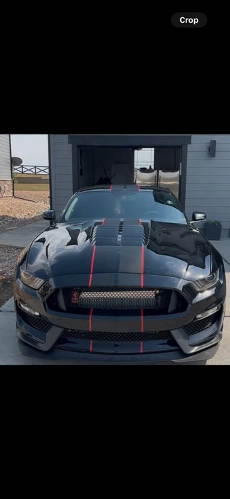 2017 Shelby GT350 - Image 4 of 13