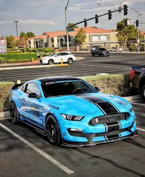 2017 Shelby GT350 Trackback
