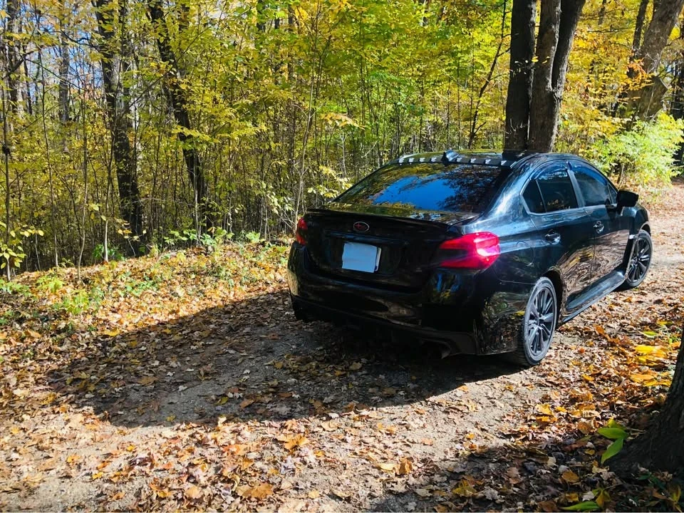 2017 Subaru Impreza WRX 4th Gen - Image 3 of 7