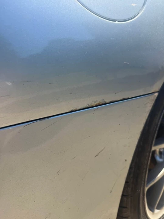 2017 Subaru Impreza WRX 4th Gen - Image 5 of 14