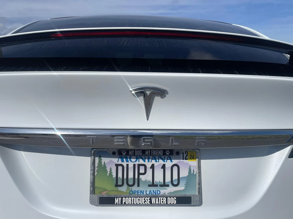 2017 Tesla Model X - Image 30 of 31