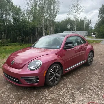 2017 Volkswagen Beetle PinkBeetle Edition