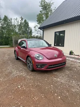 2017 Volkswagen Beetle PinkBeetle Edition