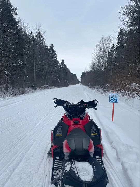 2017 Yamaha SR - Image 2 of 5