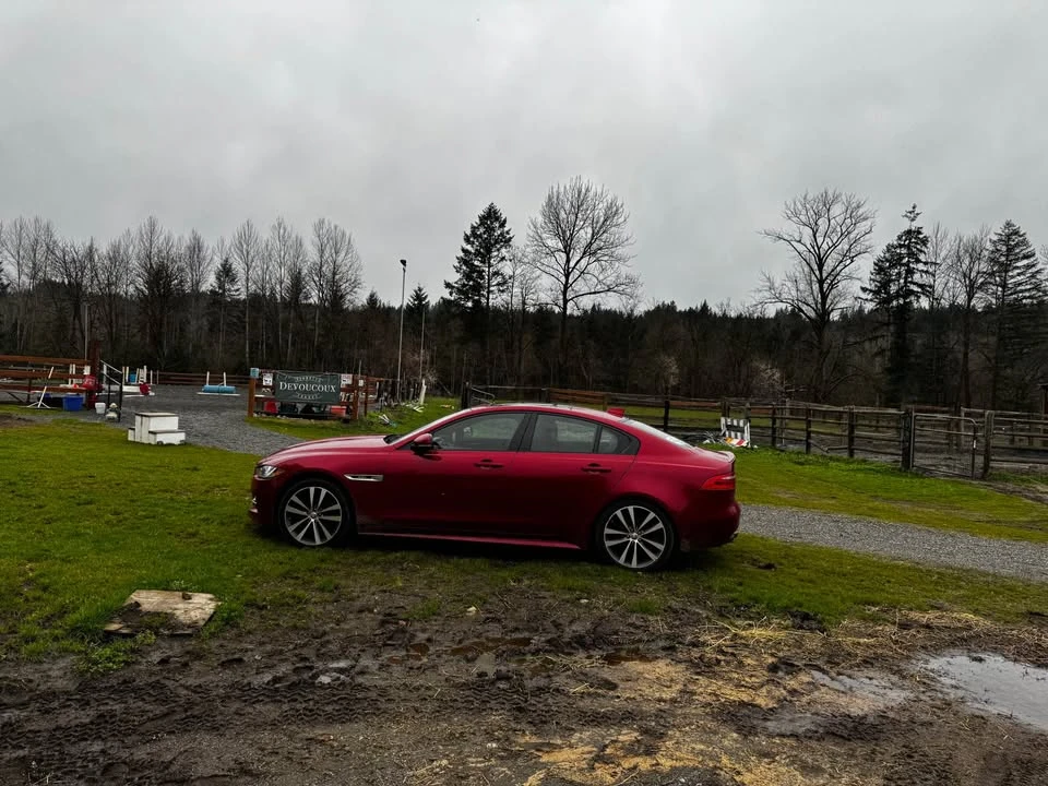 2017 Jaguar X260 XF - Image 5 of 6