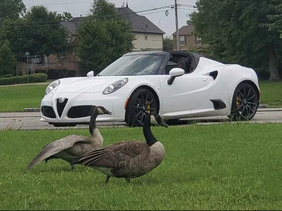 2018 Alfa Romeo 4C Spider - Image 6 of 11