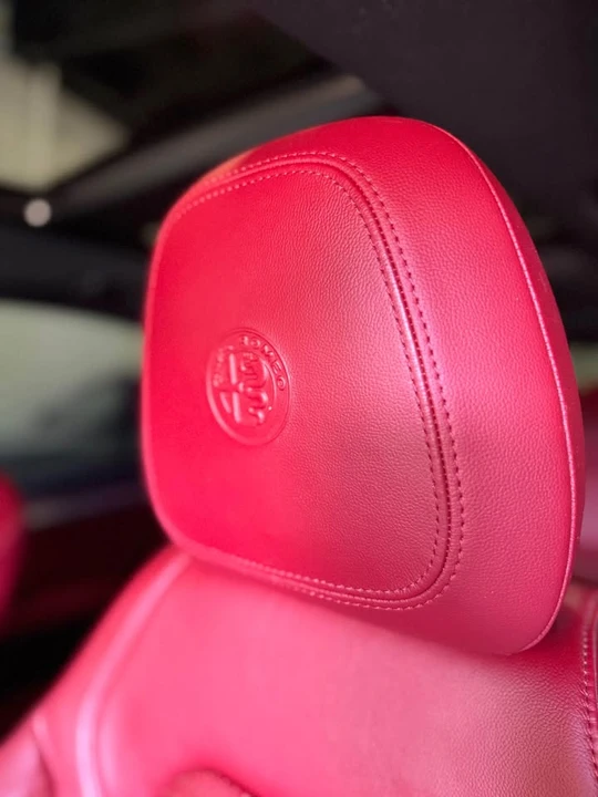 2018 Alfa Romeo Stelvio - Image 11 of 20