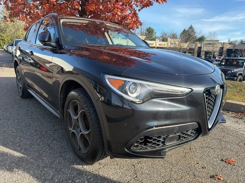 2018 Alfa Romeo Stelvio - Image 3 of 12