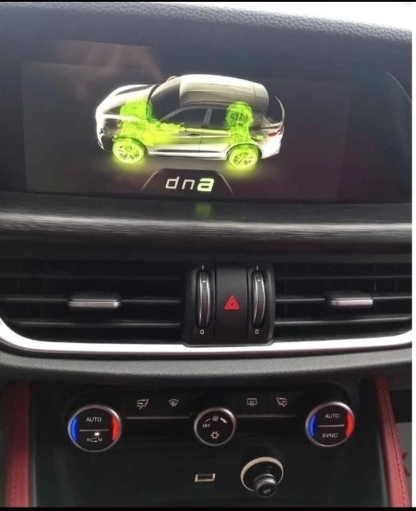 2018 Alfa Romeo Stelvio - Image 18 of 19