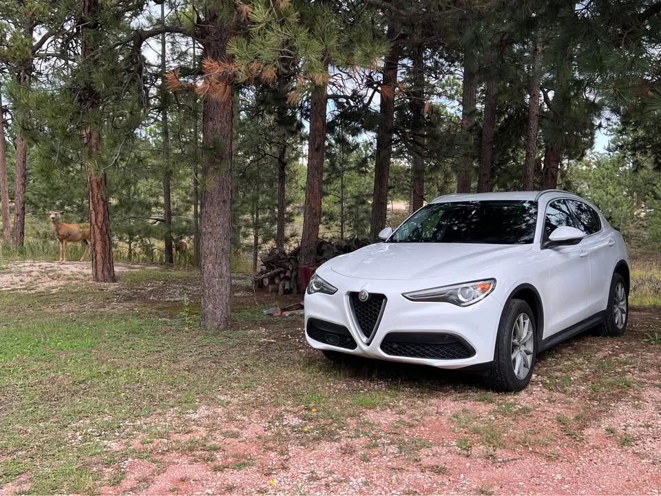 2018 Alfa Romeo Stelvio - Image 5 of 7