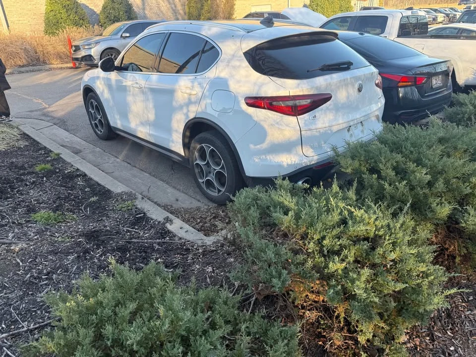 2018 Alfa Romeo Stelvio - Image 3 of 14