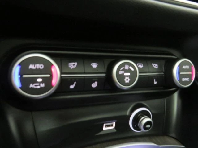 2018 Alfa Romeo Stelvio - Image 20 of 21