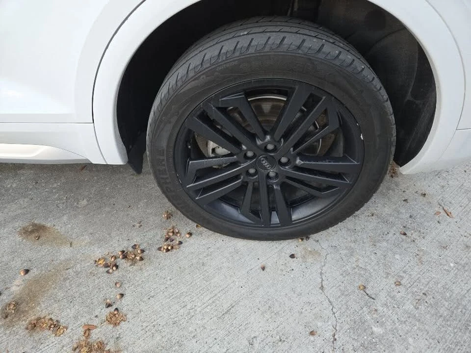2018 Audi FY Q5 - Image 13 of 17