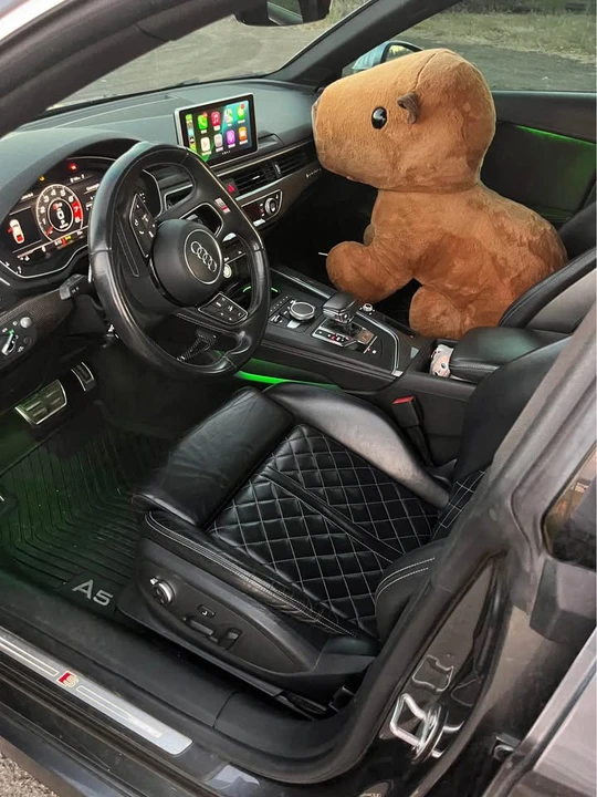 2018 Audi B9 S5 - Image 11 of 14