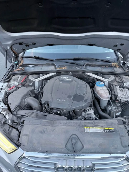 2018 Audi B9 A4 - Image 14 of 15
