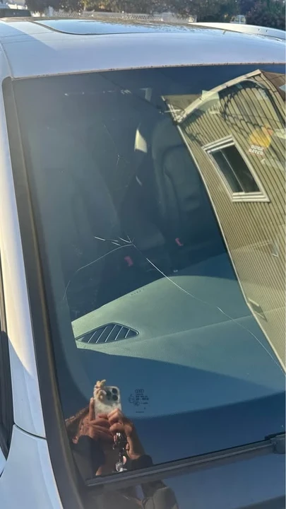 2018 Audi 8U Q3 - Image 11 of 11
