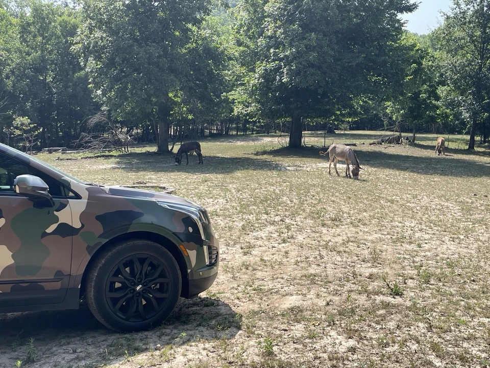 2018 Cadillac XT5 - Image 7 of 7