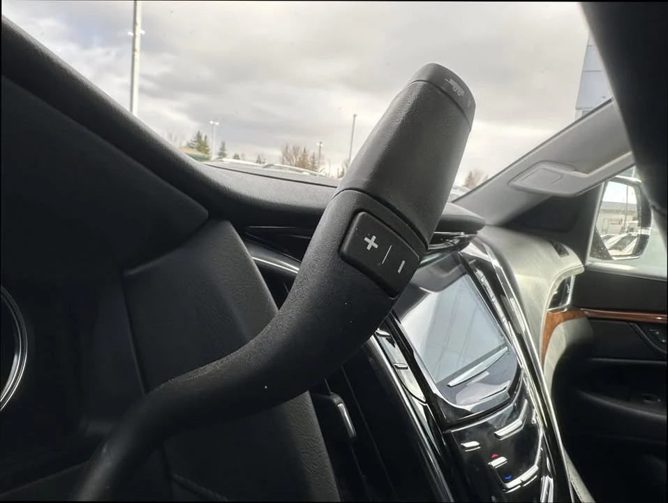 2018 Cadillac Escalade 4th Gen - Image 19 of 20