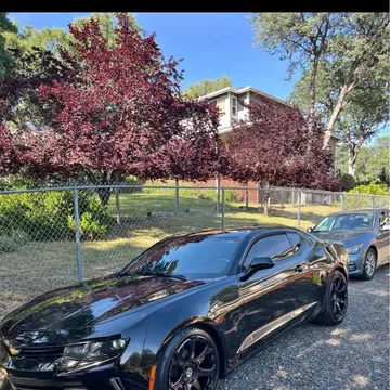 2018 Chevrolet Camaro LT Coupe