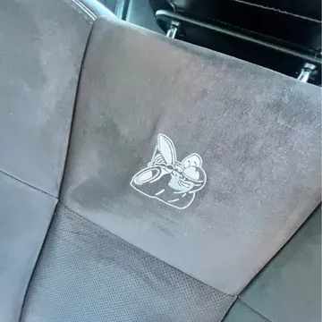 2018 Dodge Challenger 392 Hemi Scat Pack Shaker