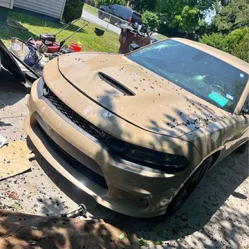 2018 Dodge Charger R/T