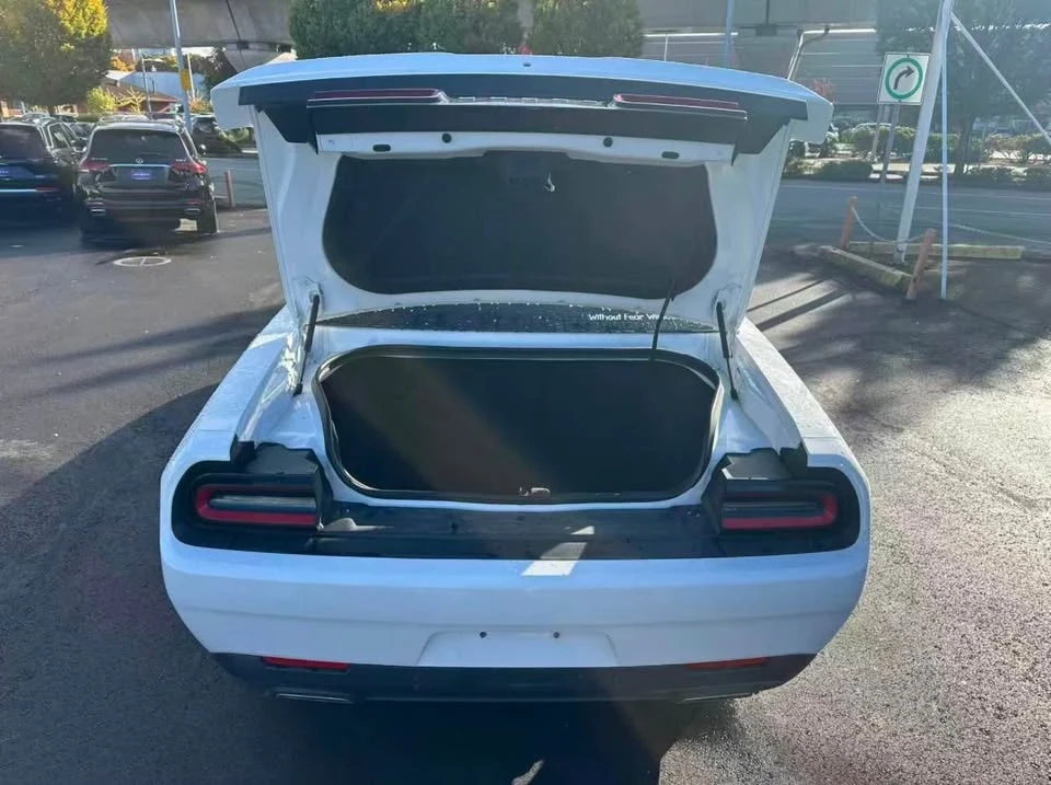 2018 Dodge Challenger 3rd Gen - Image 19 of 19