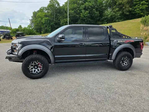 2018 Ford F-150 Shelby Raptor