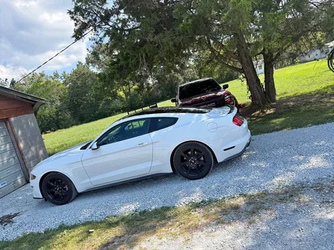 2018 Ford Mustang EcoBoost Coupe 2D