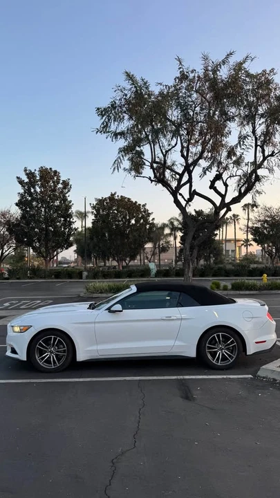 2018 Ford S550 Mustang - Image 8 of 20