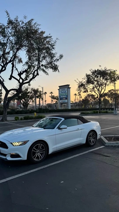 2018 Ford S550 Mustang - Image 12 of 20