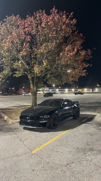 2018 Ford S550 Mustang GT - Image 2 of 12