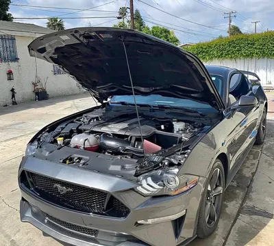 2018 Ford Mustang GT V8 5.0