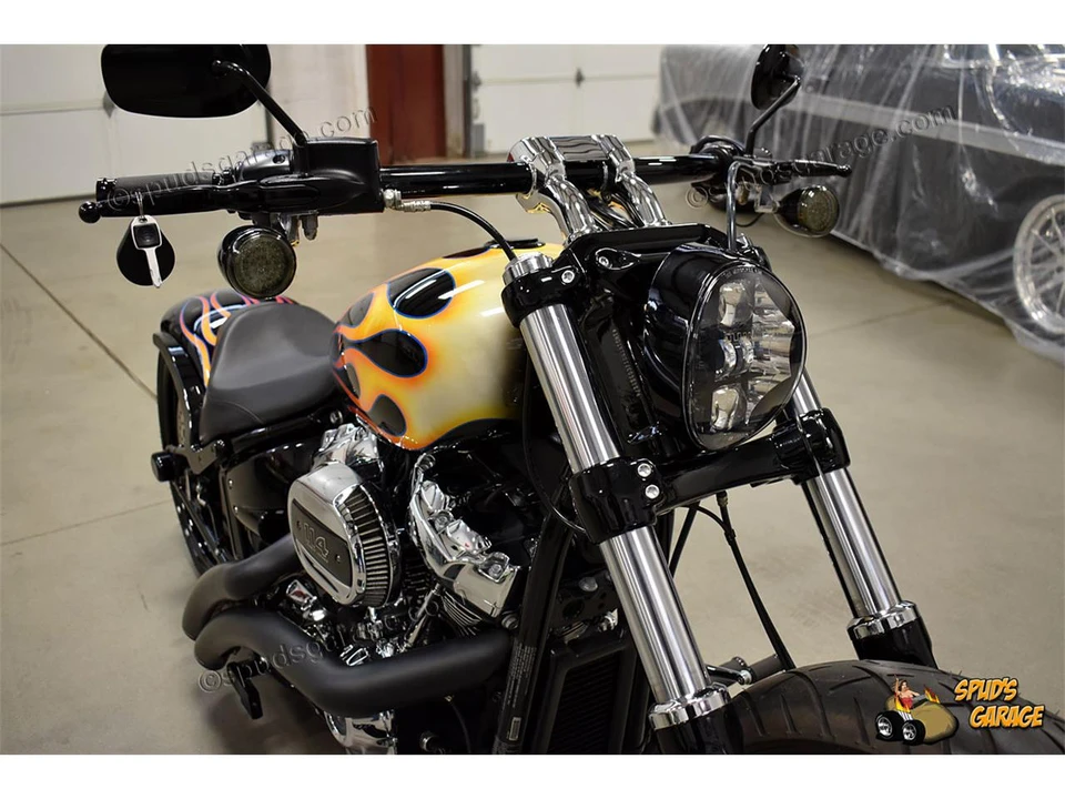 2018 Harley-Davidson Sportster Rubber Mount - Image 10 of 31