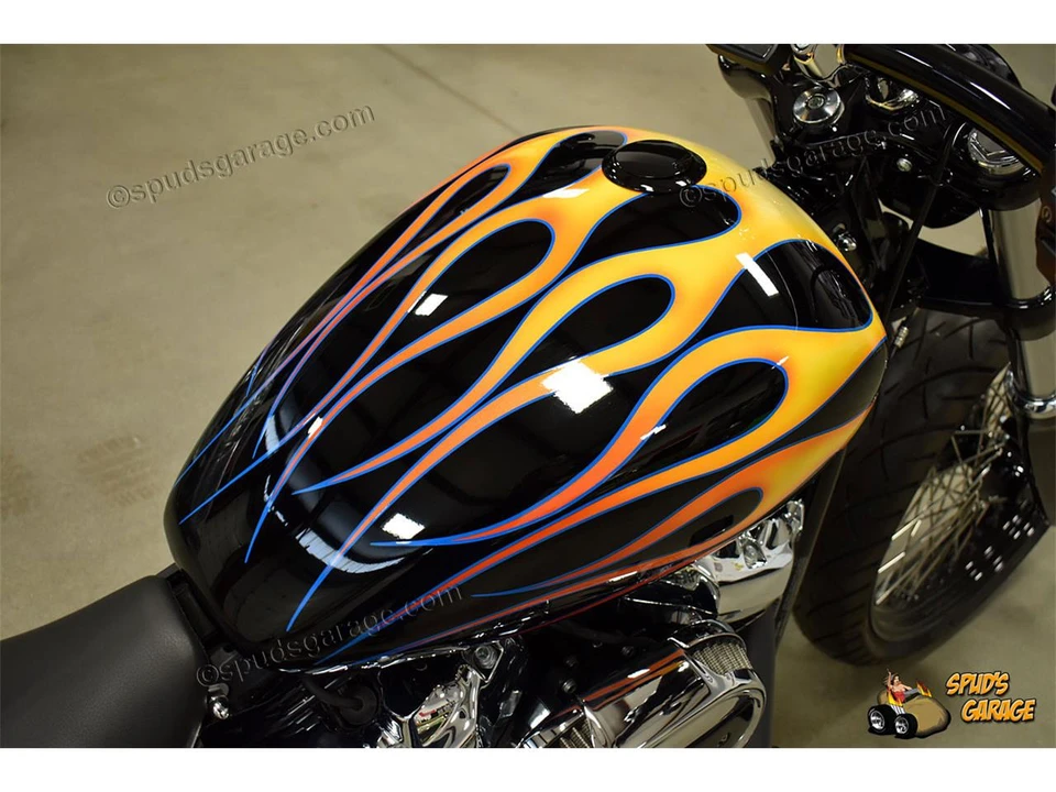 2018 Harley-Davidson Sportster Rubber Mount - Image 16 of 31