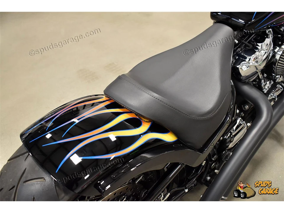 2018 Harley-Davidson Sportster Rubber Mount - Image 17 of 31