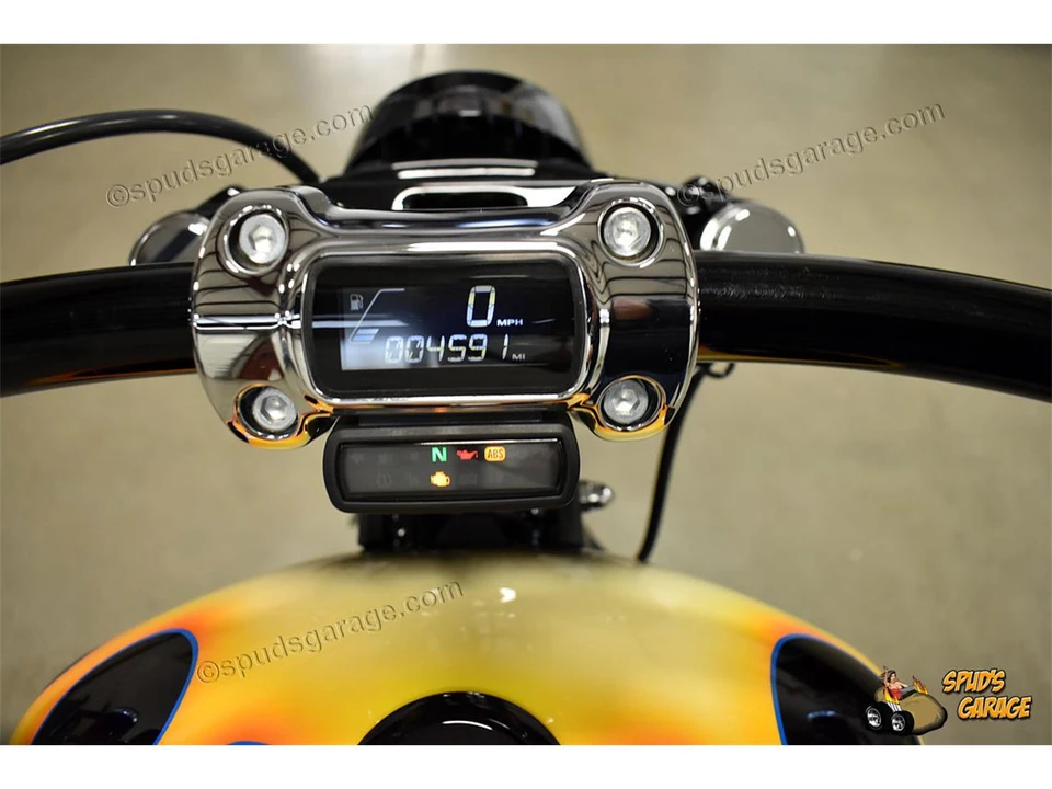 2018 Harley-Davidson Sportster Rubber Mount - Image 24 of 31