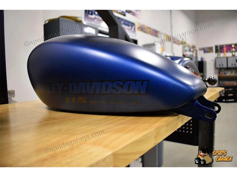 2018 Harley-Davidson Sportster Rubber Mount - Image 30 of 31