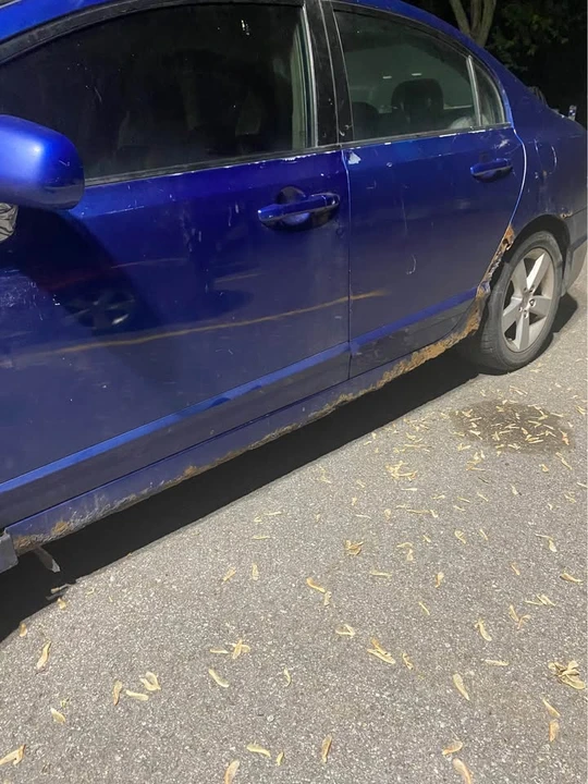 2018 Honda Civic 10th Gen - Image 2 of 7