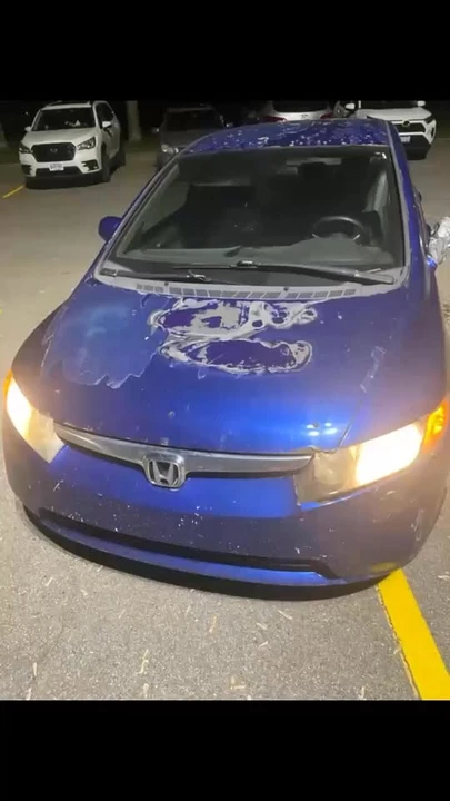 2018 Honda Civic 10th Gen - Image 7 of 7