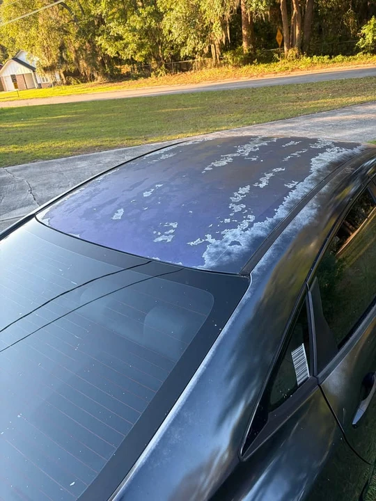 1995 Honda Civic 10th Gen - Image 10 of 11