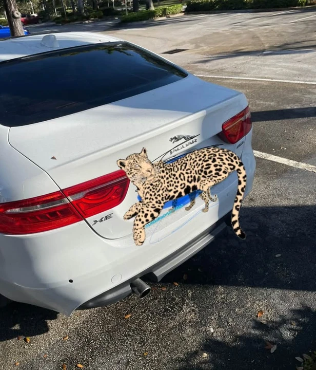 2018 Jaguar XE - Image 5 of 6