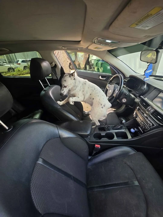 2018 Kia Optima/K5 - Image 3 of 17