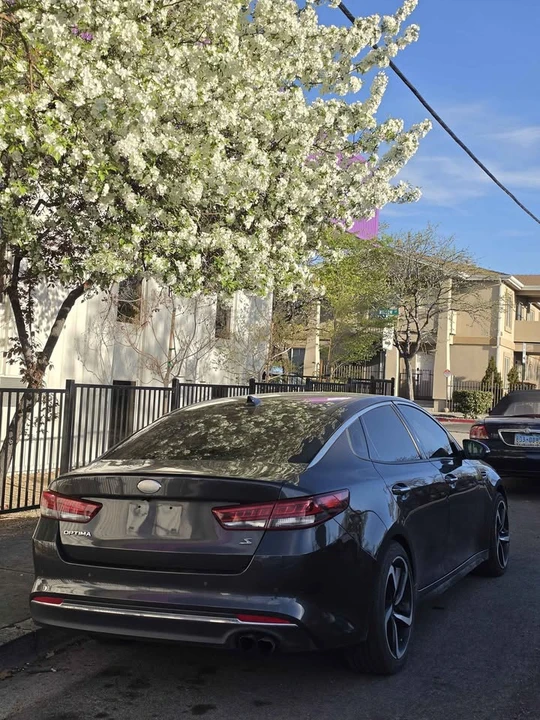 2018 Kia Optima/K5 - Image 16 of 17