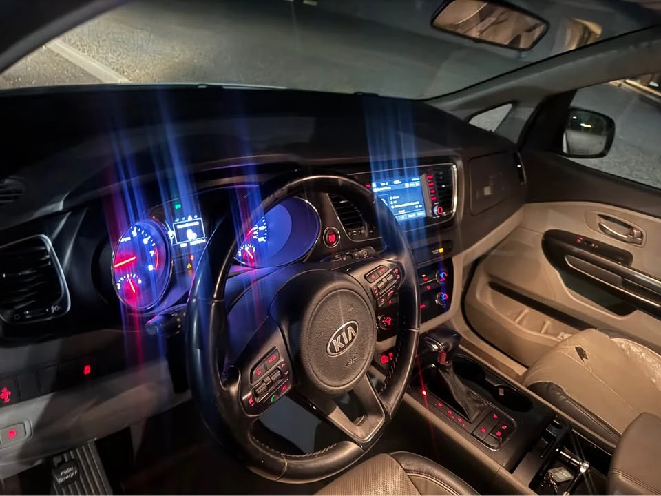 2018 Kia Carnival - Image 13 of 13