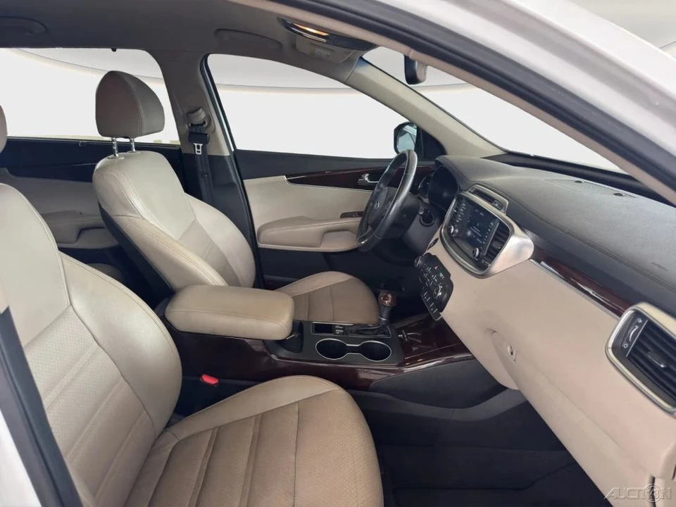 2018 Kia Sorento - Image 19 of 21