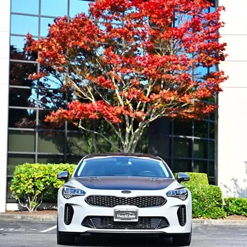 2018 Kia Stinger GT