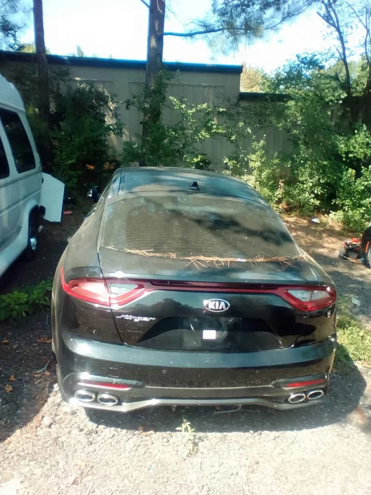 2018 Kia Stinger - Image 9 of 10