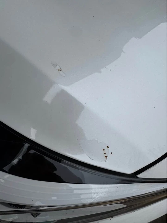 2018 Kia Forte - Image 13 of 18